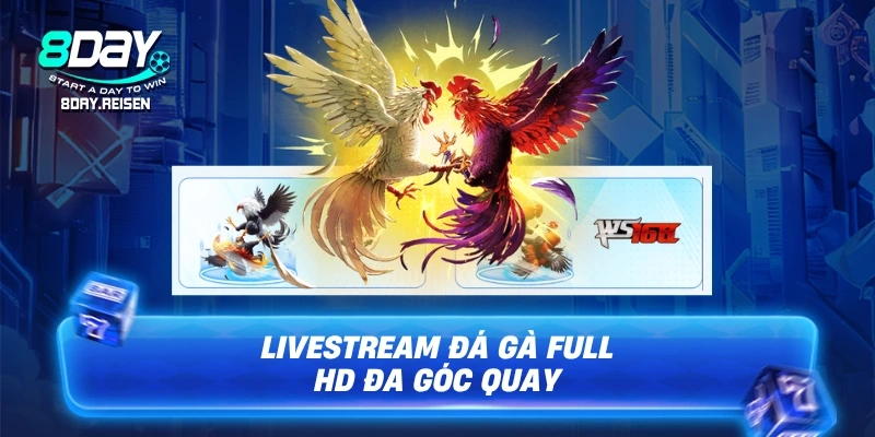 Livestream đá gà Full HD đa góc quay