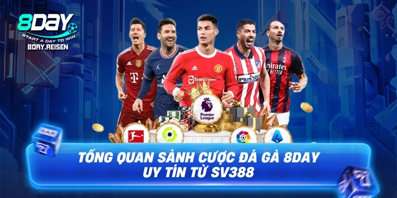Tổng quan sảnh cược Đá gà 8Day uy tín từ SV388
