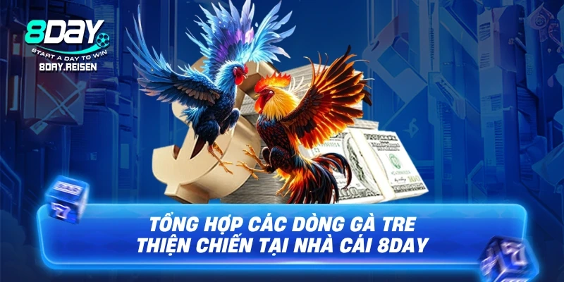 Đá Gà Tre - Bí Kíp Xem Và Chọn Kê Đỉnh Cao 3 Tổng hợp các dòng gà tre thiện chiến tại nhà cái 8Day